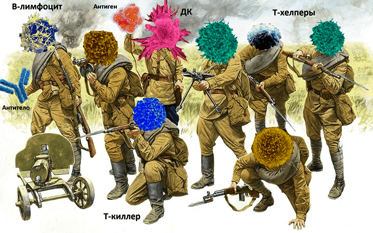 Иммунная армия