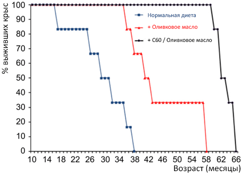 Диаграмма выживаемости крыс