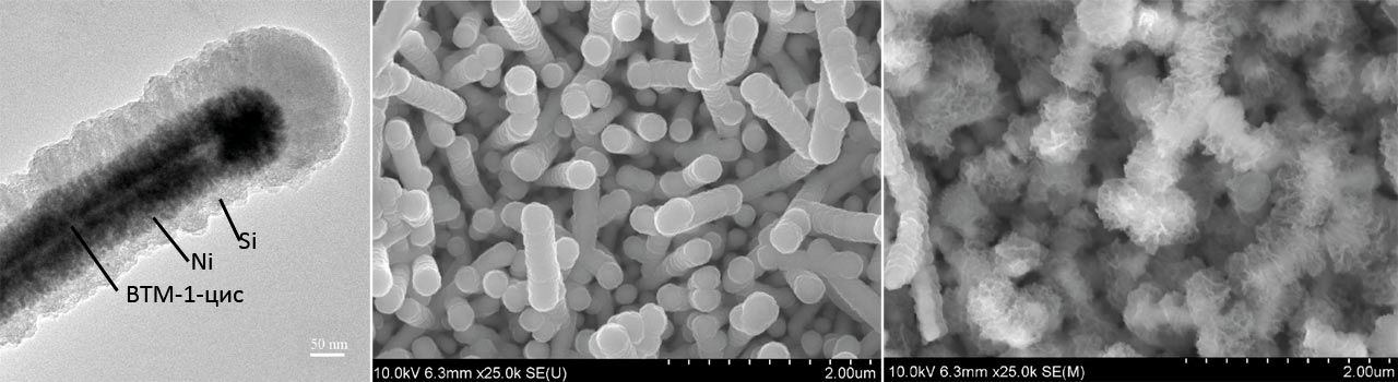 Нанобиопроволоки на основе ВТМ-1-цис/Ni/Si