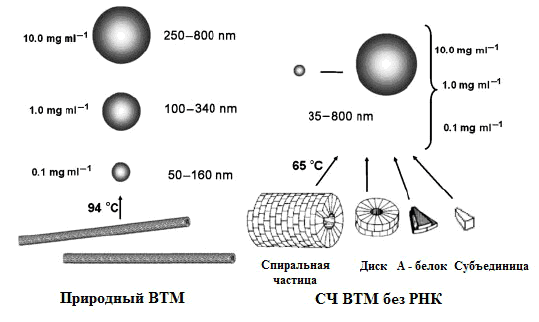 Схема синтеза СНЧ