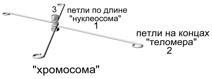 Проволочные элементы сетчатого каркаса