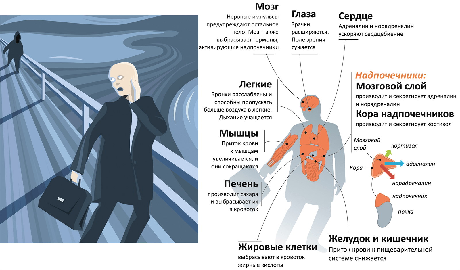 Пора бежать!