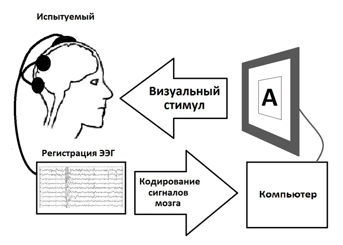 Первый этап эксперимента