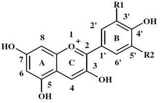 Базовая структура антоцианидинов и антоцианов