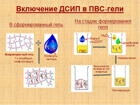 Включение пептидов в матрицу на основе поливинилового спирта