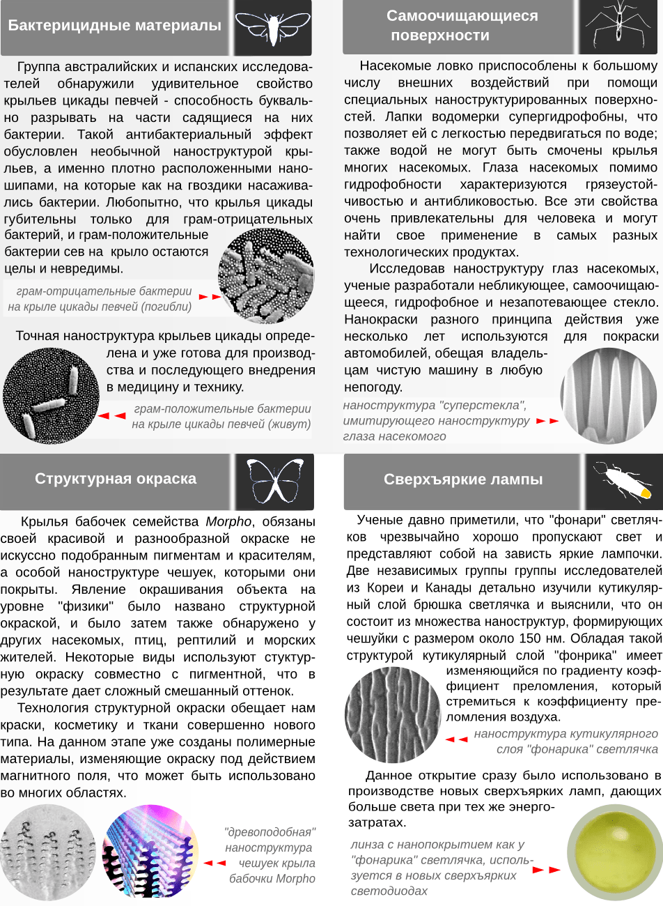 Нанотехнологии, которые можно позаимствовать у насекомых