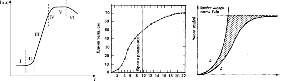 Кривые роста