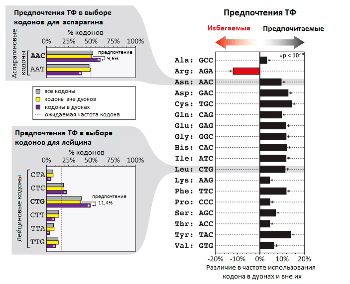 Неслучайная частота использования кодов в дуонах