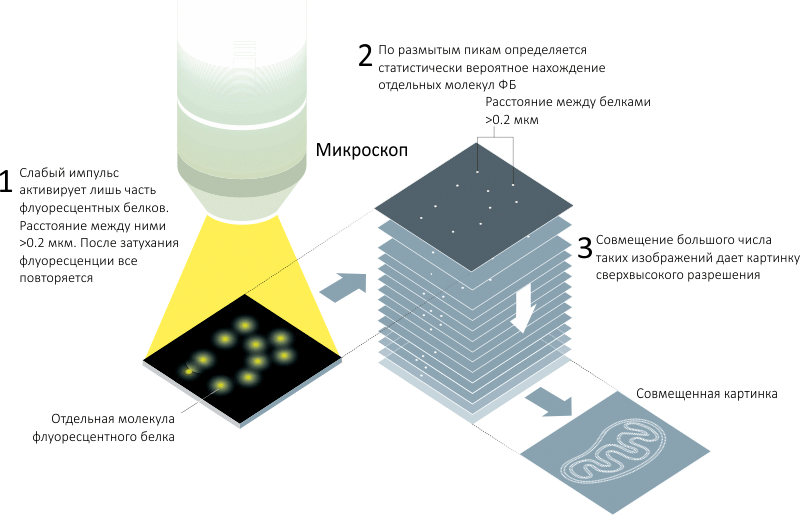 Одномолекулярная микроскопия