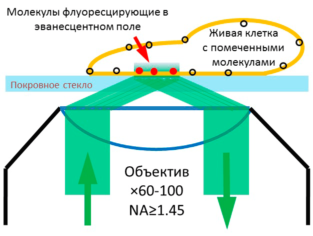 ФМПВО