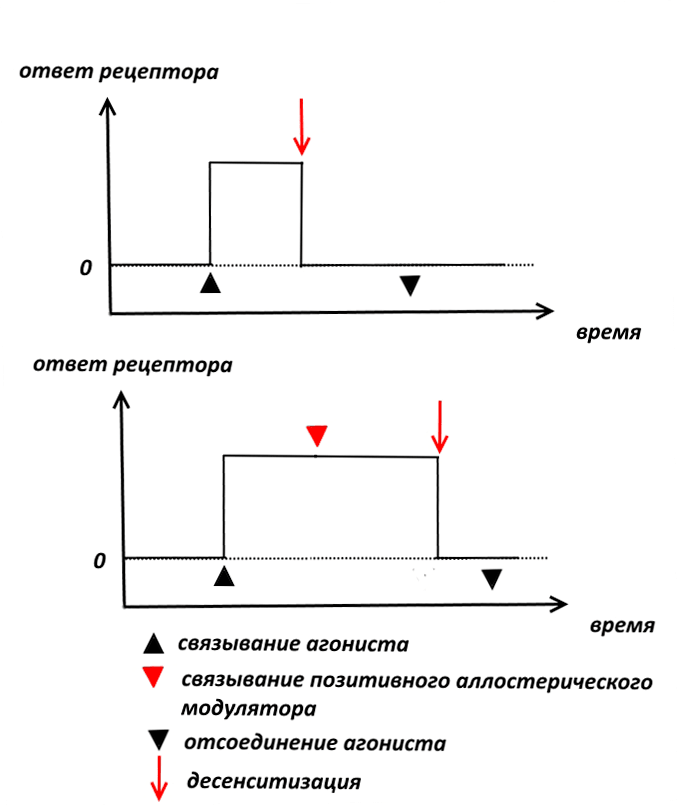 Позитивные аллостерические модуляторы рецепторов