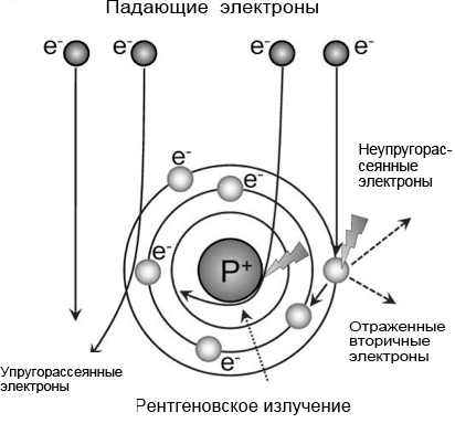 Траектории электронов, взаимодействующих с веществом образца