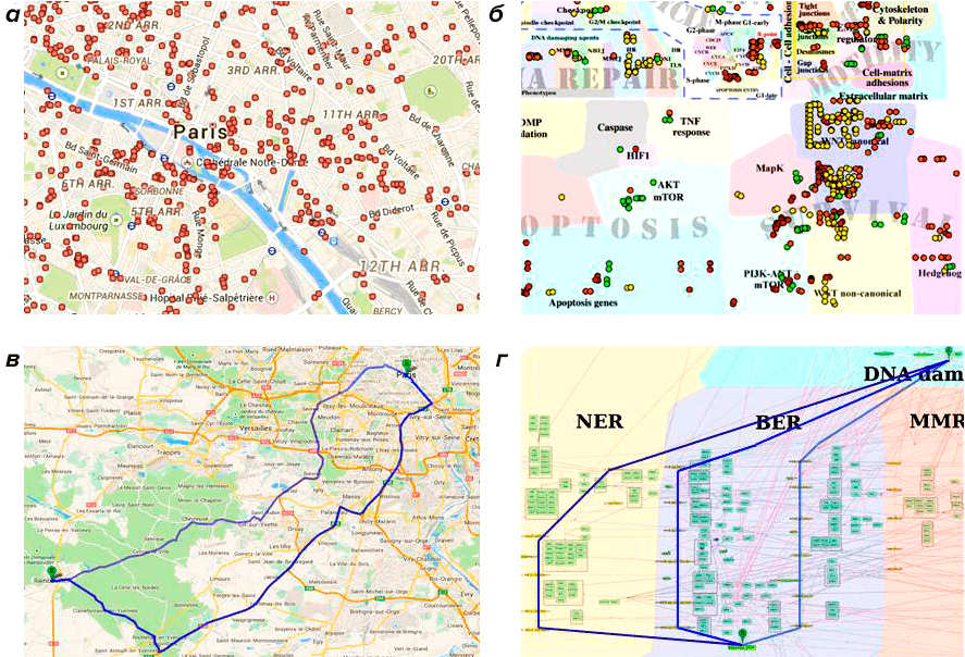 Географические и молекулярно-биологические карты