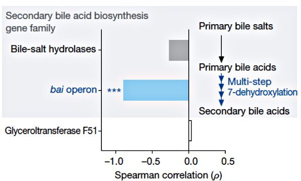 Устойчивость к клостридиям и гены синтеза вторичных желчных кислот