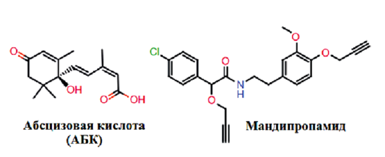Формулы абсцизовой кислоты и мандипропамида