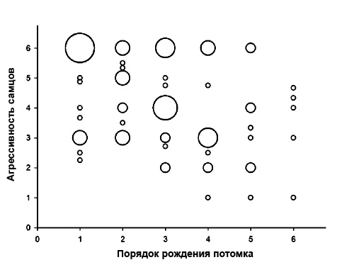 Агрессивность самцов западных сиалий