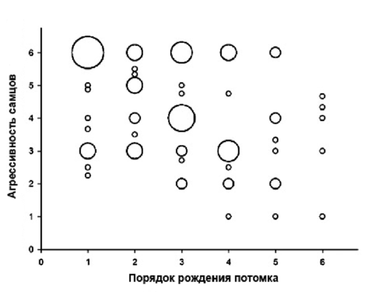 Агрессивность самцов западных сиалий