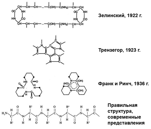 Предположения о структуре белка