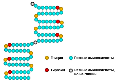 Центральная часть белка INA