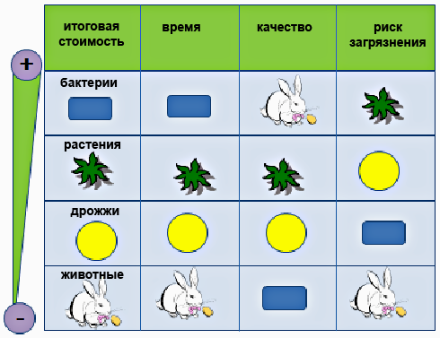 Сравнение систем продукции рекомбинантных белков