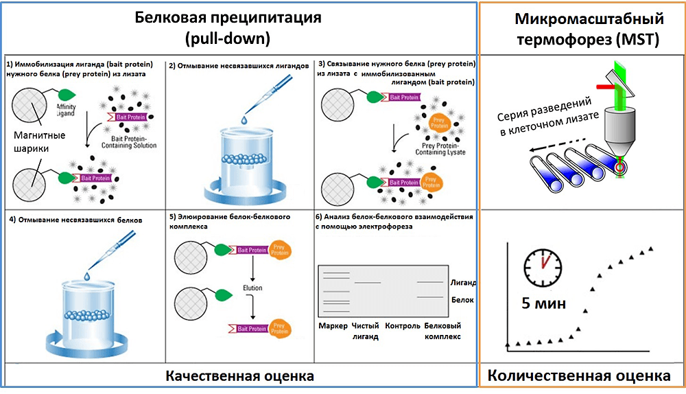 Комбинация методов изучения аффинности