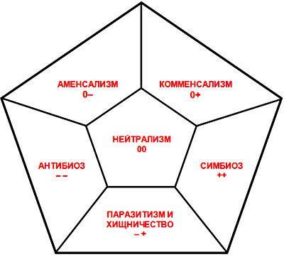 Формы межвидовых взаимоотношений организмов