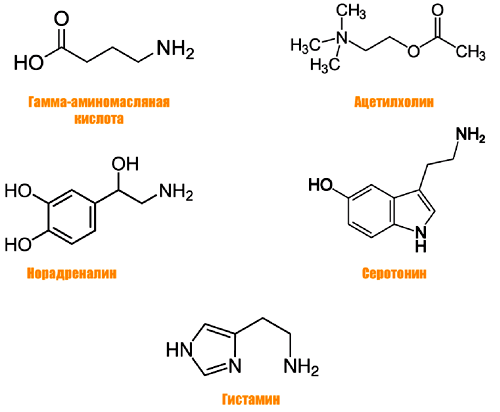Строение нейромедиаторов