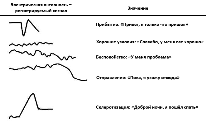 Сигналы плазмодия