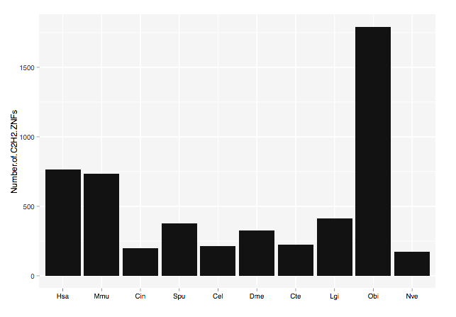 Число генов C2H2