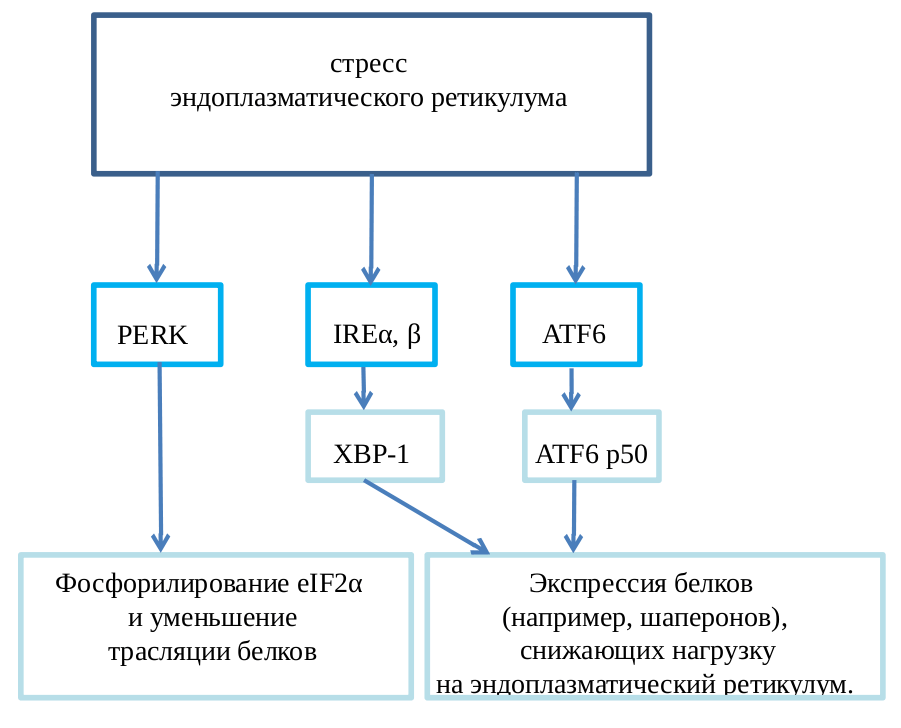 Стрессовый ответ