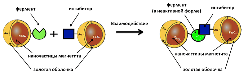 Система на основе магнитных наночастиц