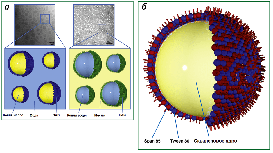 Строение наноэмульсий