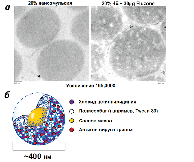 Масляно-водная эмульсия W805EC