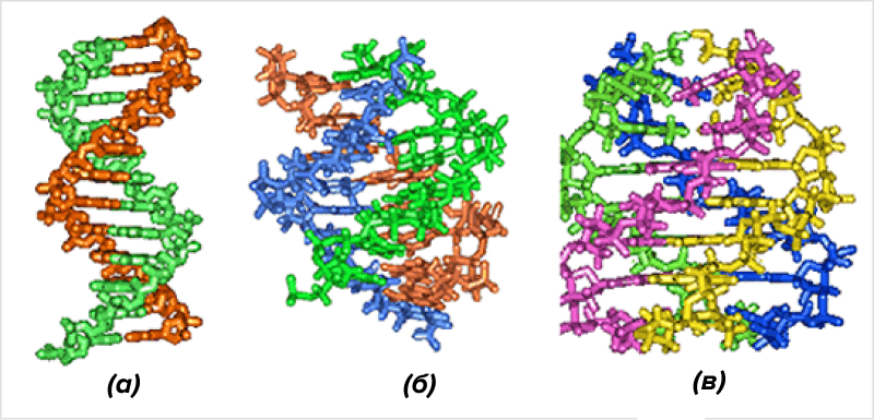 Нестандартные спирали ДНК