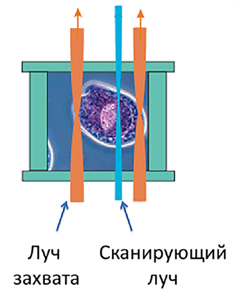 Схема установки RSOT