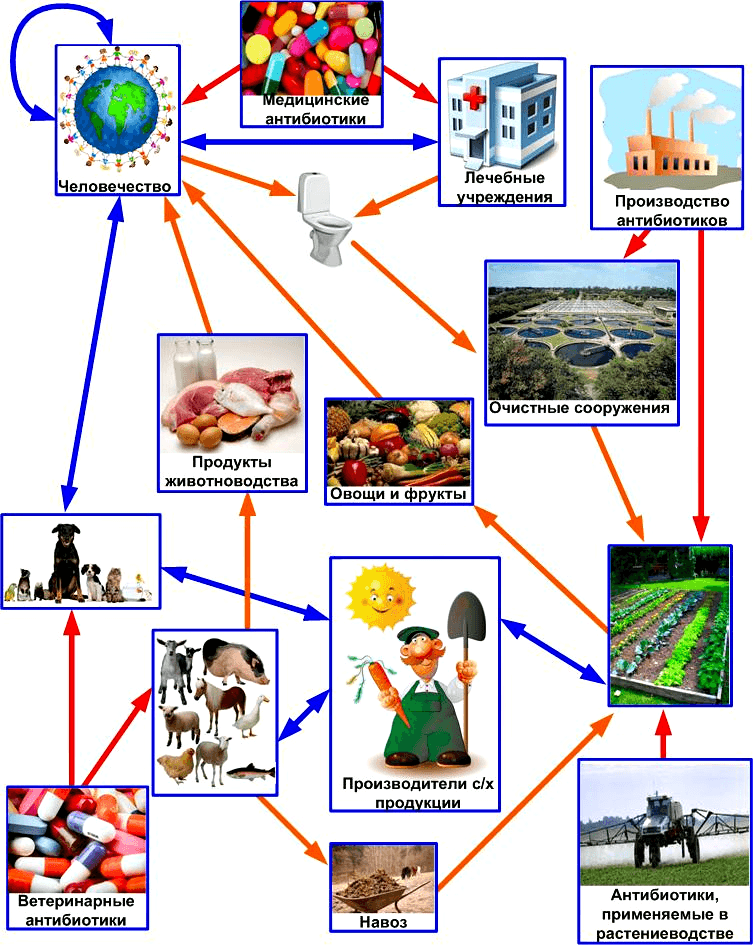 Источники поступления антибиотиков в биосферу