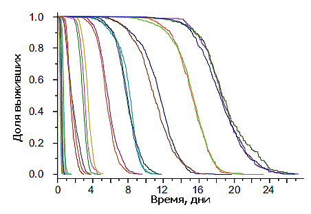 Выживаемость C. elegans