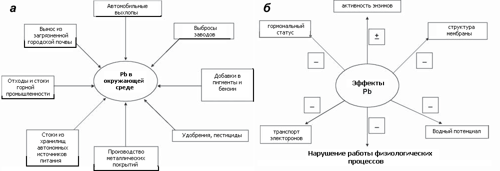 Поступление свинца в окружающую среду