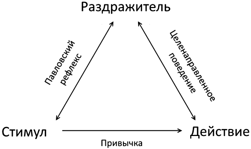 Три формы поведения