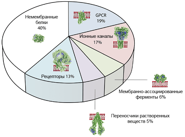 Человеческие мембранные белки
