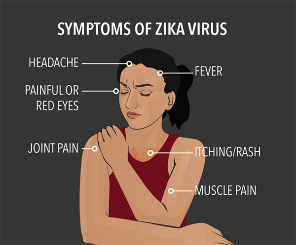 Клиническая картина лихорадки Зика