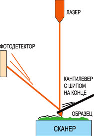 Атомно-силовой микроскоп