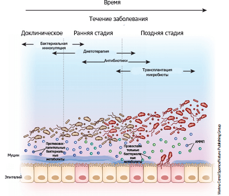 Микробная терапия