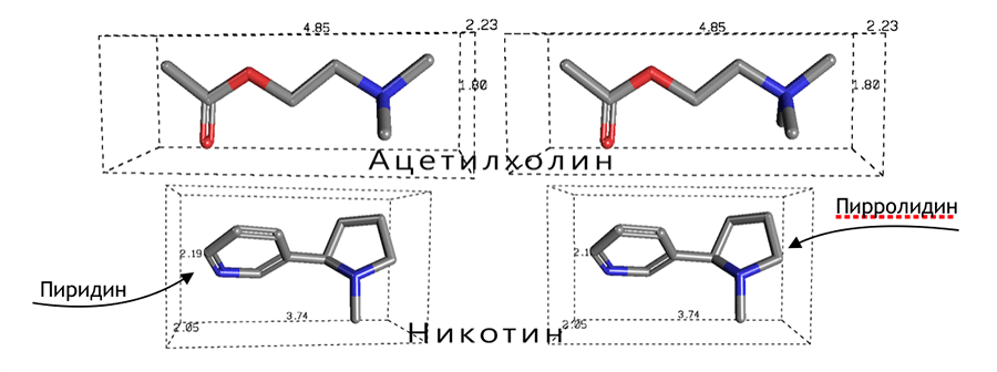 Никотин и ацетилхолин