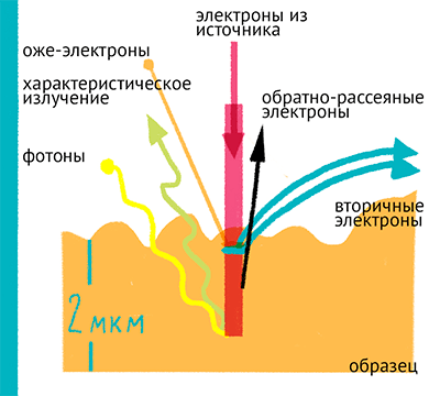 Сканирующий электронный микроскоп