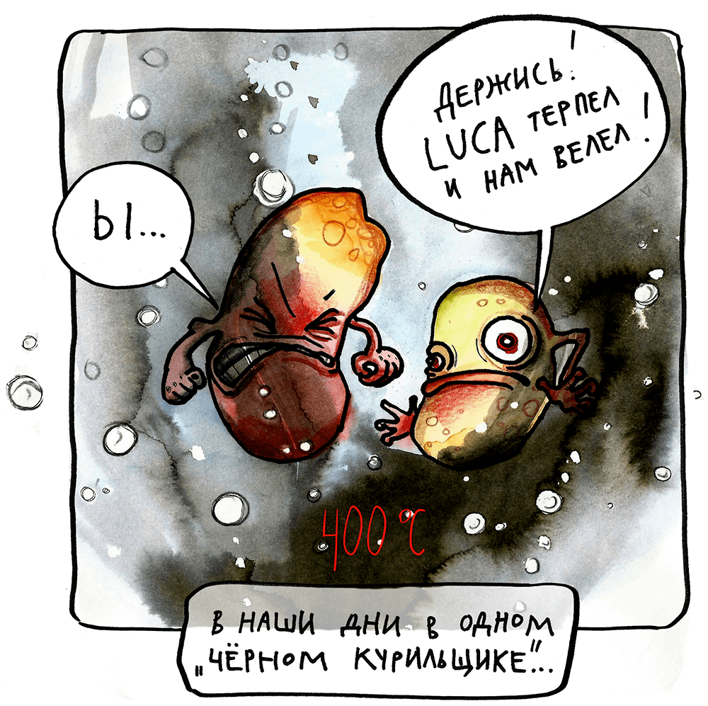 Потомки LUCA