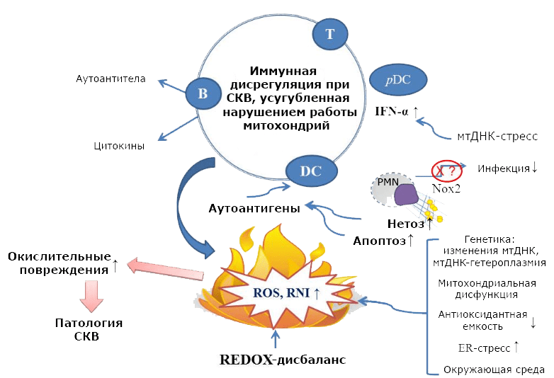 фраза