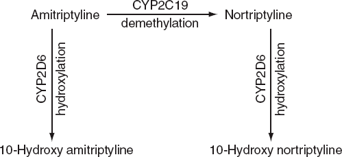 Превращения амитриптилина