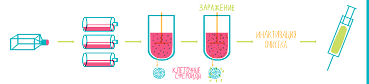 Схема технологического процесса производства вакцин