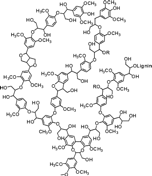 Фрагмент структуры лигнина